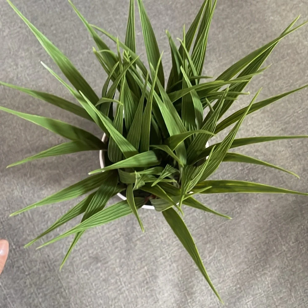 Target Green and White Faux Tall Grass Potted Floral Accent